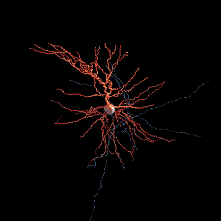 ezgif.com-resize.gif